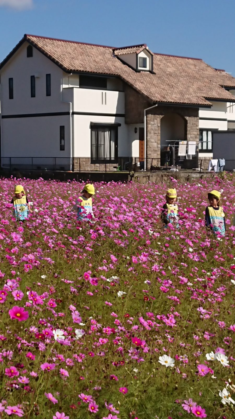 Mostbet türkiye bahis